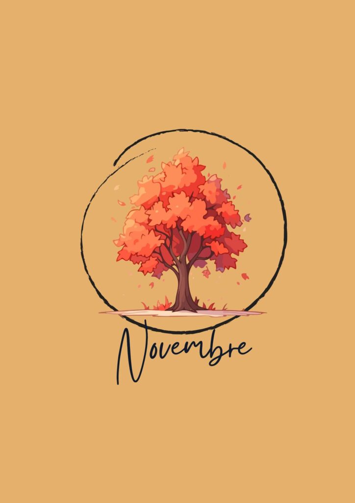 Pack novembre 2025 min